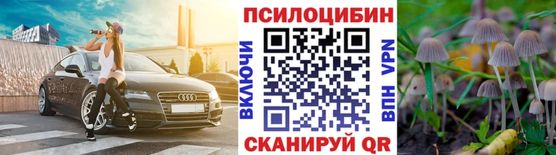 Псилоцибиновые грибы Psilocybine cubensis  Кяхта 
